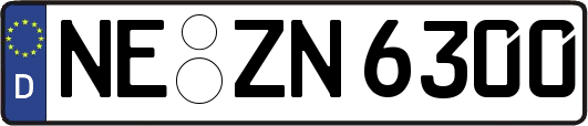 NE-ZN6300