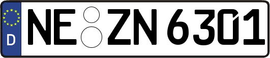 NE-ZN6301
