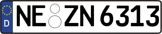 NE-ZN6313