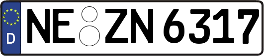NE-ZN6317