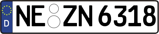 NE-ZN6318