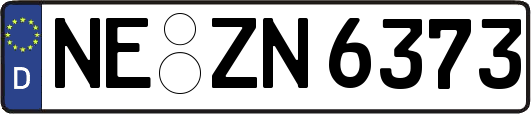 NE-ZN6373