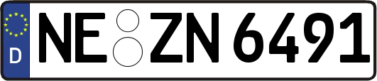 NE-ZN6491