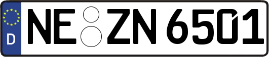 NE-ZN6501