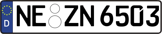 NE-ZN6503