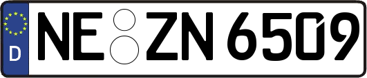 NE-ZN6509