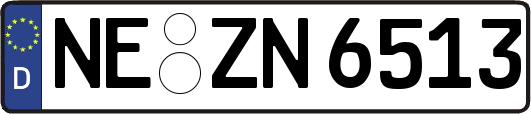 NE-ZN6513