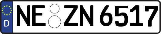 NE-ZN6517