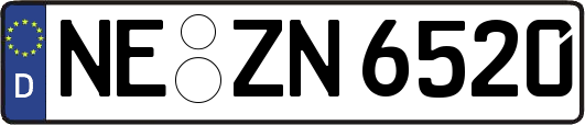 NE-ZN6520