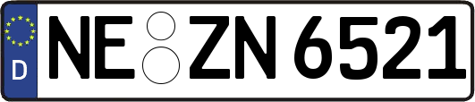 NE-ZN6521
