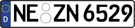 NE-ZN6529