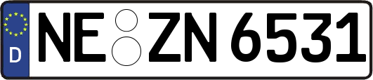 NE-ZN6531