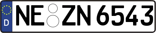 NE-ZN6543