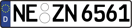 NE-ZN6561