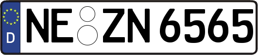 NE-ZN6565