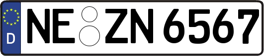 NE-ZN6567