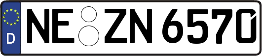 NE-ZN6570