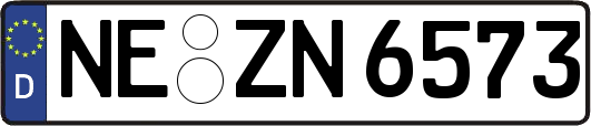 NE-ZN6573