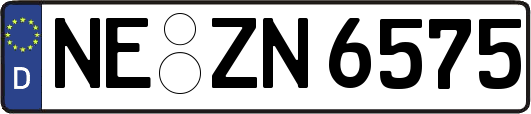 NE-ZN6575