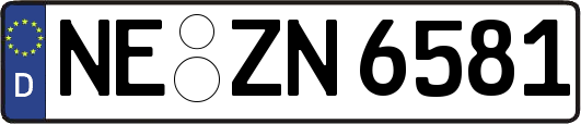 NE-ZN6581