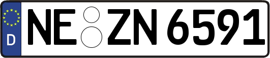 NE-ZN6591