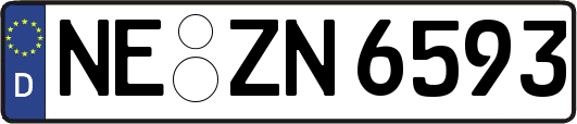 NE-ZN6593