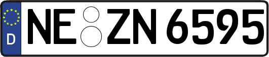 NE-ZN6595