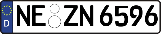 NE-ZN6596