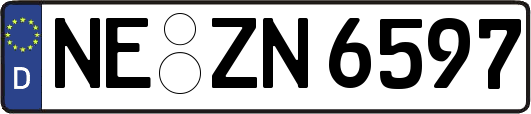 NE-ZN6597