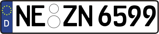 NE-ZN6599