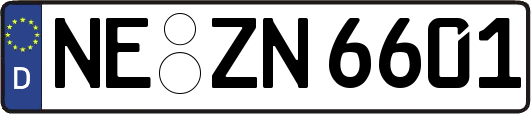 NE-ZN6601