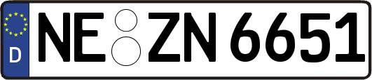 NE-ZN6651