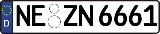 NE-ZN6661