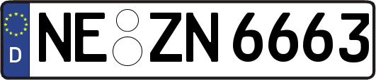 NE-ZN6663