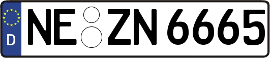 NE-ZN6665