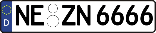NE-ZN6666