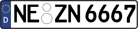 NE-ZN6667