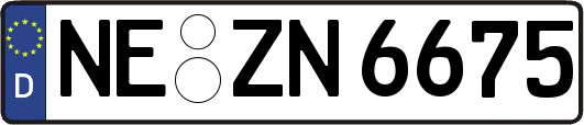 NE-ZN6675