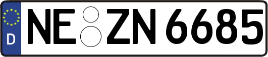 NE-ZN6685