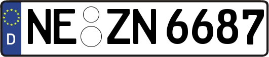 NE-ZN6687