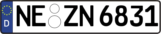 NE-ZN6831