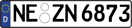 NE-ZN6873
