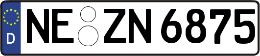 NE-ZN6875