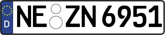 NE-ZN6951