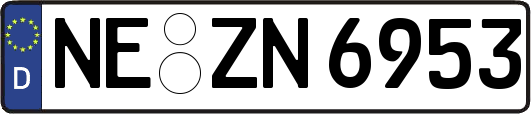 NE-ZN6953