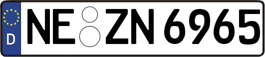 NE-ZN6965