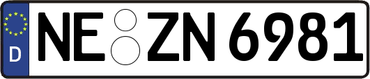 NE-ZN6981