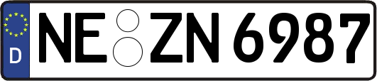 NE-ZN6987
