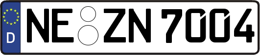 NE-ZN7004