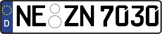 NE-ZN7030